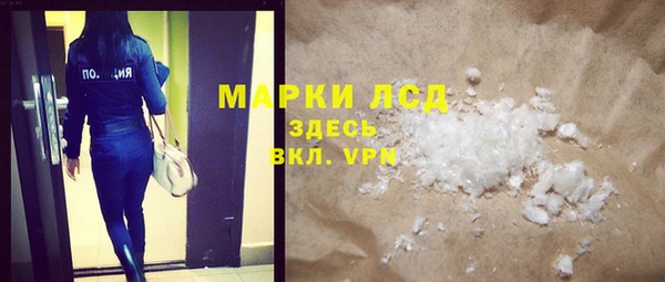 шишки Покачи