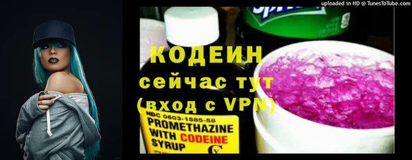 шишки Покачи