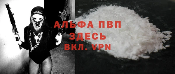шишки Покачи