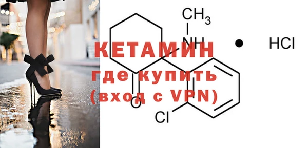 шишки Покачи