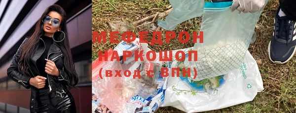 шишки Покачи