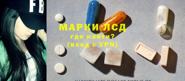 шишки Покачи