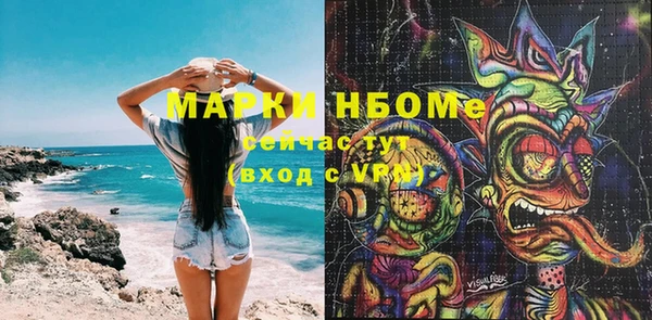 шишки Покачи