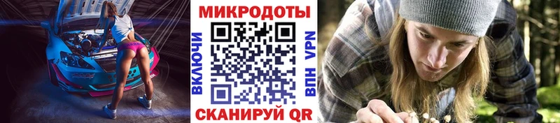 Купить где  Киселёвск  Псилоцибиновые грибы Psilocybe 
